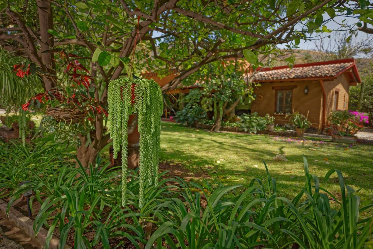 Bed and Breakfast Casa Navacoyan Malinalco Exteriér fotografie